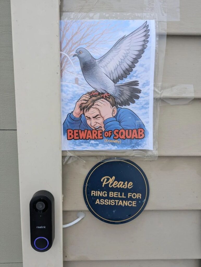 Beware of SQUAB sign